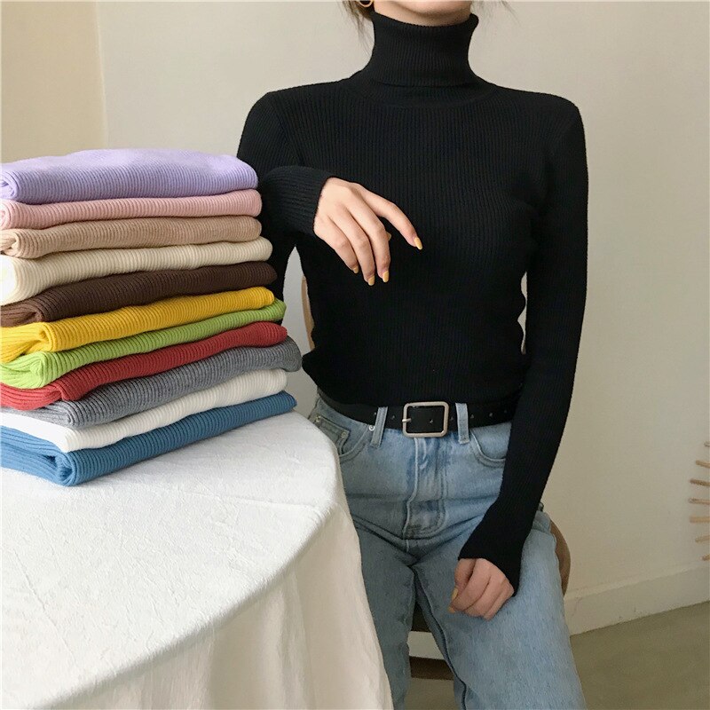 Ribbed Long Sleeve Turtle Neck Pullover