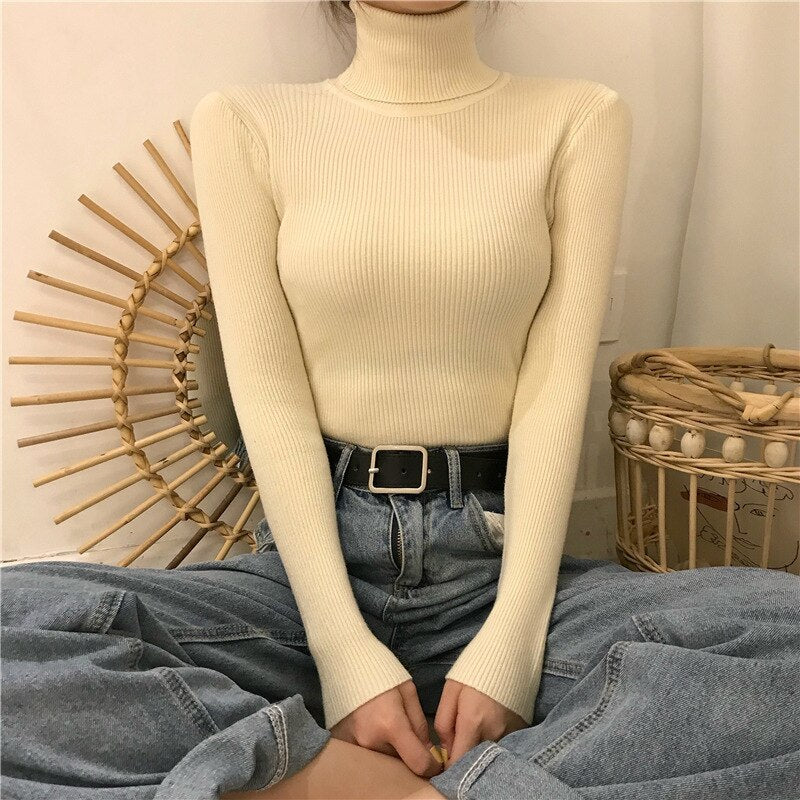 Ribbed Long Sleeve Turtle Neck Pullover