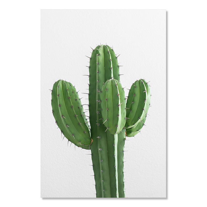 Green Tropical Plant Painting Monstera Cactus Poster Wall Art