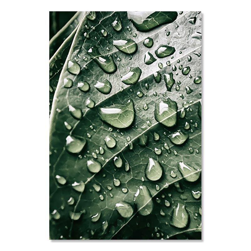 Green Tropical Plant Painting Monstera Cactus Poster Wall Art