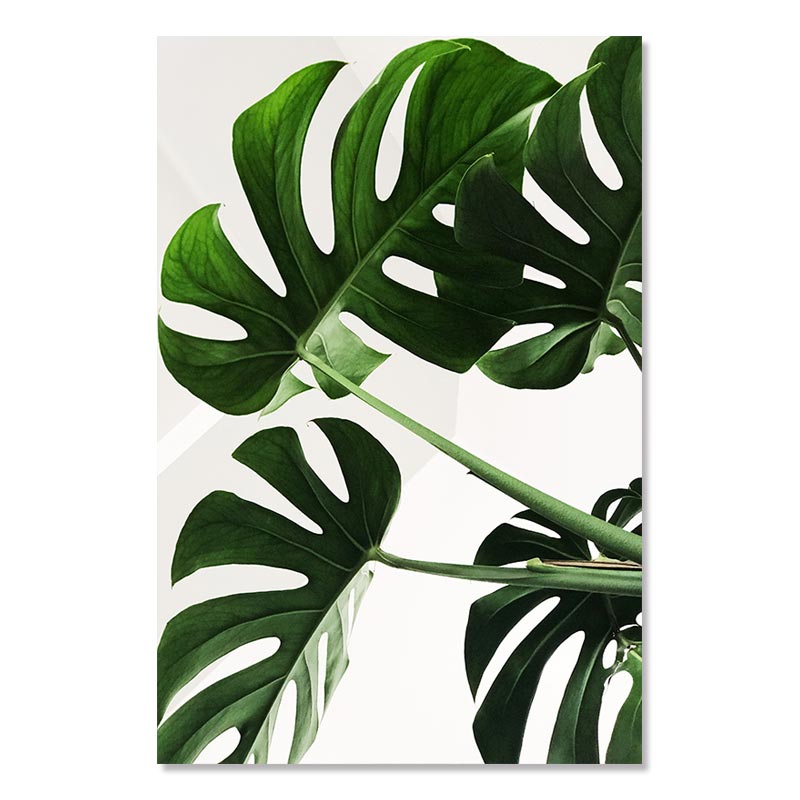 Green Tropical Plant Painting Monstera Cactus Poster Wall Art