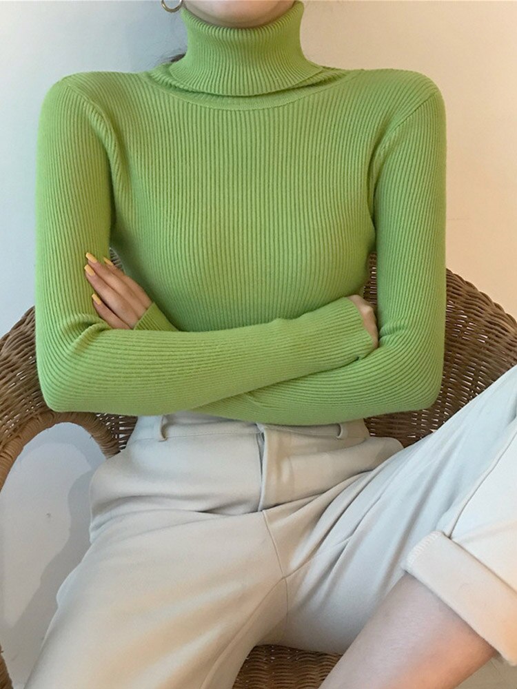 Ribbed Long Sleeve Turtle Neck Pullover